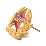 Кокарда Солдатская СА