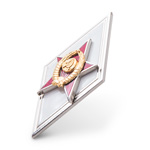 Знак Пилота окончившего Военно-Авиационную Школу, копия