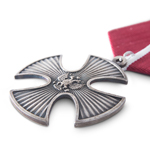 Орден «Мужества» РФ, профессиональный муляж