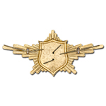 Нагрудный знак «Рота Почётного Караула» ВВС