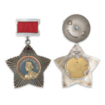 Орден Суворова (I степень, литой, на колодке) профессиональный муляж