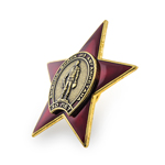 Знак «30 лет вывода войск из Афганистана»