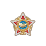 Знак-миниатюра «Воину-интернационалисту»