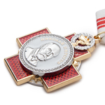 Орден «Пирогова» РФ, профессиональный муляж