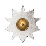 Знак «80 лет Великой Победе»