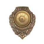 Знак «Отличный стрелок», копия