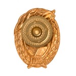 Знак «ВУ СССР Авиации», копия