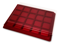 Планшет под знаки, 20 ячеек с поролоновыми вставками