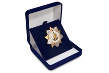 Футляр велюровый под знак/орден тёмно-синий