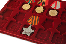 Планшет универсальный для 10 наград на колодке