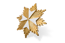 Звезда Мальтийского креста, копия