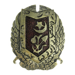 Военный Красный Орден Хорезмской НСР, муляж